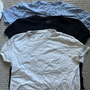 Everlane Organic Cotton Box Cut Tee, set of 3